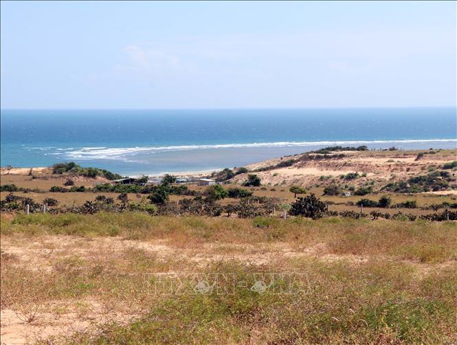 Địa điểm xây dựng Nhà máy điện hạt nhân Ninh Thuận 1 tại xã Phước Dinh. Ảnh: Công Thử - TTXVN