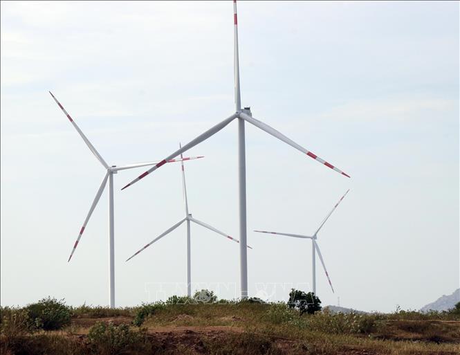 Dự án điện gió của BIM Group đầu tư tại xã Thuận Nam đã được đưa vào vận hành. Ảnh: Công Thử - TTXVN