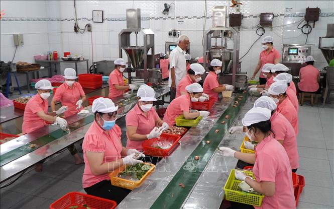 Công nhân làm nem tại Cơ sở sản xuất nem Út Thẳng (xã Hòa Long, tỉnh Đồng Tháp). Ảnh: Nhựt An - TTXVN