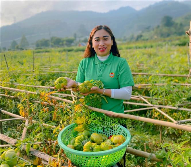 Mô hình vườn rau xanh sạch, trái chín tự nhiên tại xã Tương Dương (Nghệ An). Ảnh: Bích Huệ - TTXVN