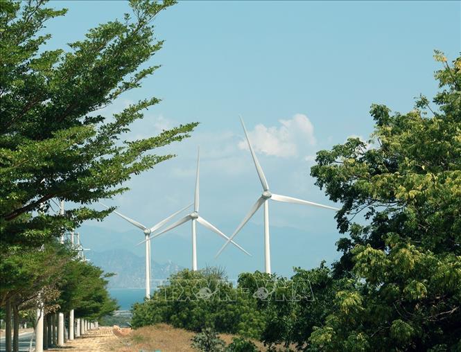 Phía Nam Tỉnh Khánh Hòa có nhiều thuận lợi để phát triển hệ thống điện gió. Ảnh: Xuân Triệu - TTXVN