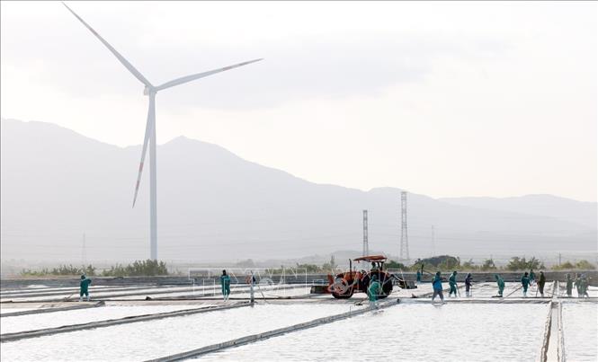 Các trụ điện gió được xây dựng trên cánh đồng muối ở xã Thuận Nam, tỉnh Khánh Hòa. Ảnh: Xuân Triệu - TTXVN