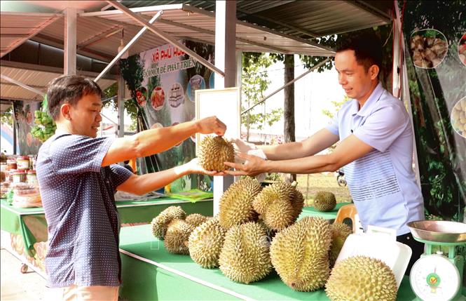 Người dân mua sầu riêng tại Lễ hội. Ảnh: Hồng Nhung - TTXVN