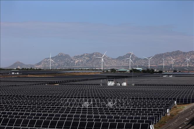 Trang trại điện gió và điện mặt trời của Trung Nam Group tại Thuận Nam, tỉnh Khánh Hòa. Ảnh: Đặng Tuấn - TTXVN 