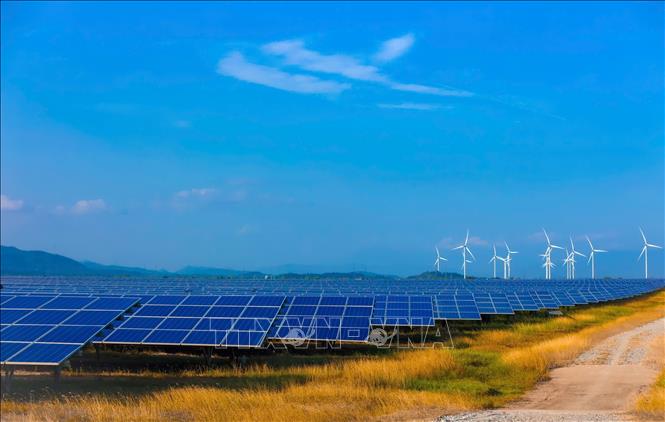 Trang trại điện gió và điện mặt trời của Trung Nam Group tại Thuận Nam, tỉnh Khánh Hòa. Ảnh: Đặng Tuấn - TTXVN 