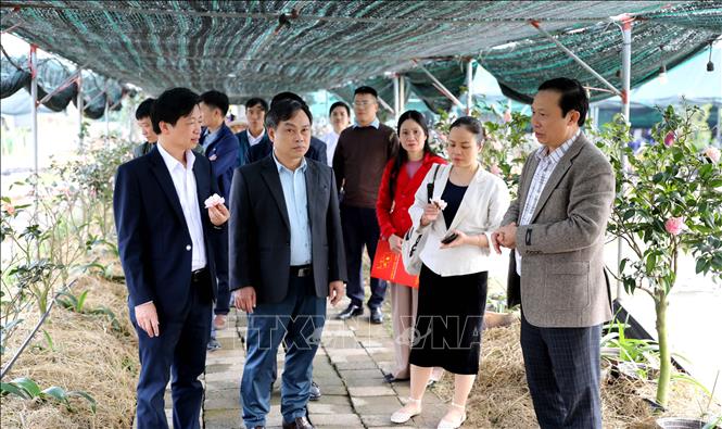 Đại diện các sở, ngành của tỉnh Hưng Yên tham quan, đánh giá hiệu quả của các loại cây trồng tại Hợp tác xã Hoa sen Vân Đài (xã Hồng Minh). Ảnh: Thế Duyệt – TTXVN