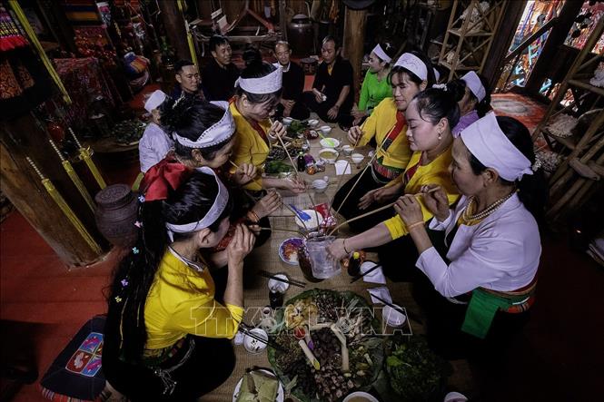 Phong tục uống rượu cần trong những ngày tết là một nét văn hóa truyền thống lâu đời của người Mường Phú Thọ. Ảnh: Trọng Đạt-TTXVN