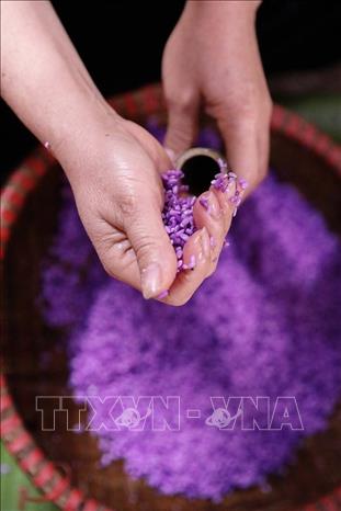 Ngày Tết không thể thiếu những gióng cơm lam sắc tím được làm từ gạo nếp mới, nhuộn bằng lá tím thơm ở rừng. Ảnh: Trọng Đạt-TTXVN