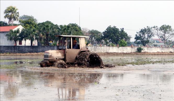 Có đủ nước, máy cày xuống đồng làm đất chuẩn bị cấy lúa vụ Đông Xuân tại xã Bình Mỹ. Ảnh: Nguyễn Chinh - TTXVN