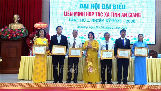 Chủ tịch Liên minh Hợp tác xã Việt Nam Cao Xuân Thu Vân tặng Bằng khen của BCH Liên minh Hợp tác xã Việt Nam cho các cá nhân có thành tích tiêu biểu. Ảnh: Văn Sĩ - TTXVN