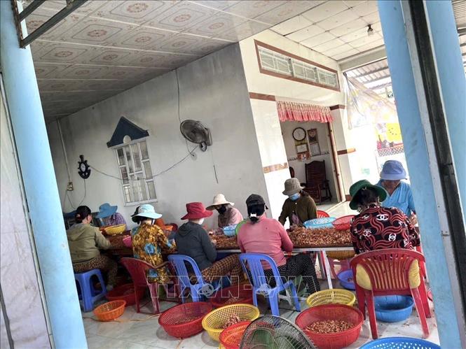 Hợp tác xã dịch vụ nông nghiệp Thanh Thanh thường xuyên tạo việc làm ổn định cho lao động địa phương. Ảnh: TTXVN phát 