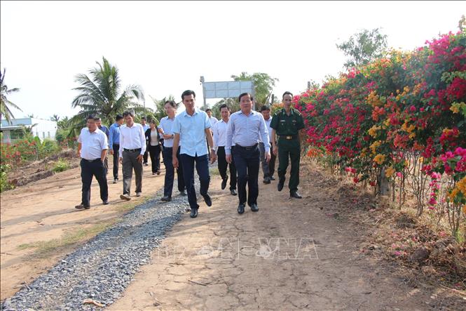 Đoàn tham quan vườn mận ST. Ảnh: Nguyễn Hằng - TTXVN