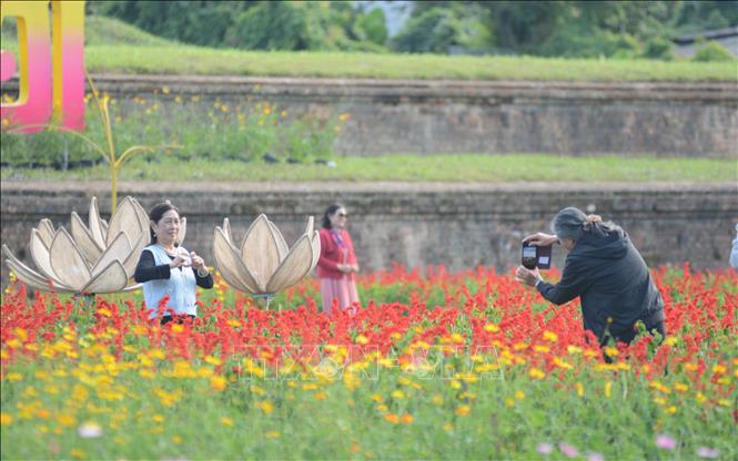 Du khách chụp ảnh với vườn hoa Xuân rực rỡ màu sắc. Ảnh: Văn Dũng-TTXVN
