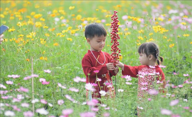 Vườn hoa rực rỡ thu hút mọi người dân đến chụp ảnh Xuân. Ảnh: Văn Dũng-TTXVN