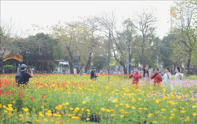 Du khách chụp ảnh với vườn hoa Xuân rực rỡ màu sắc. Ảnh: Văn Dũng-TTXVN