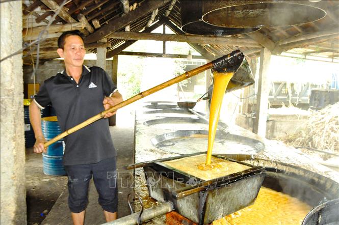 Nghề nấu mật mía tại xã Nghĩa Hành (tỉnh Nghệ An đảm bảo đầu ra cho vùng nguyên liệu mía tươi; mang lại sinh kế, giúp bà con trên địa bàn nâng cao thu nhập, giải quyết công ăn việc làm cho hàng ngàn lao động địa phương. Ảnh: Xuân Tiến - TTXVN 