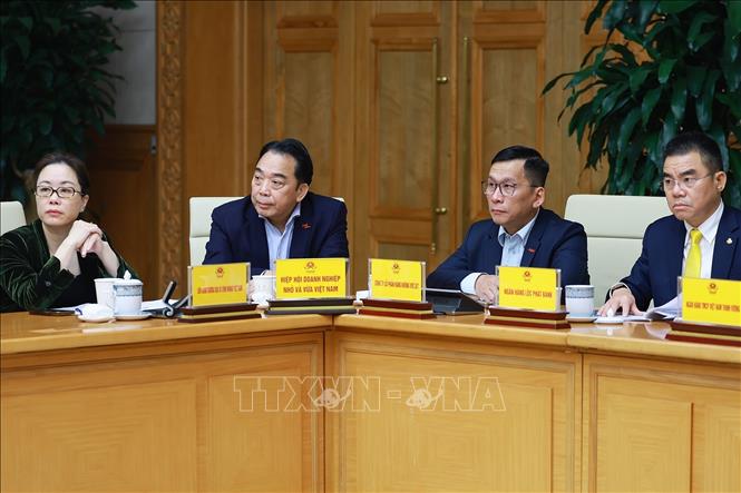 Các đại biểu tham dự Phiên họp lần thứ tư của Ban Chỉ đạo quốc gia triển khai Nghị quyết số 68-NQ/TW của Bộ Chính trị về phát triển kinh tế tư nhân. Ảnh: Dương Giang-TTXVN