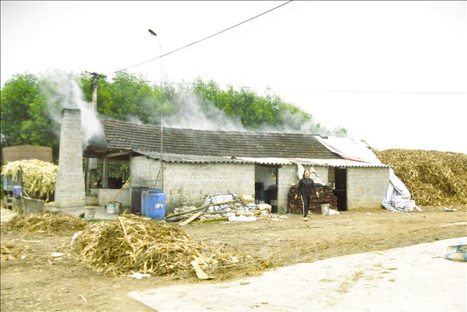 Sáng sớm miền sơn cước Nghĩa Hành (tỉnh Nghệ An), các lò nấu mật tỏa khói nghi ngút hòa quyện cùng mùi thơm ngọt của mật mía như “đánh thức” những cụm dân cư vùng quê, phố núi. Mỗi ngày, công việc vận hành lò nấu mật mía bắt đầu từ 4 giờ sáng, đến gần 10 giờ đêm mới kết thúc. Ảnh: Xuân Tiến - TTXVN 