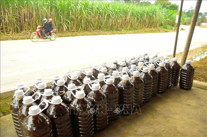 Nguồn mật mía đóng chai nhựa được các cơ sở bày bán, giới thiệu tại các điểm bán lẻ dọc bên đường đường Hồ Chí Minh trên địa bàn xã Nghĩa Hành (tỉnh Nghệ An). Ảnh: Xuân Tiến - TTXVN 