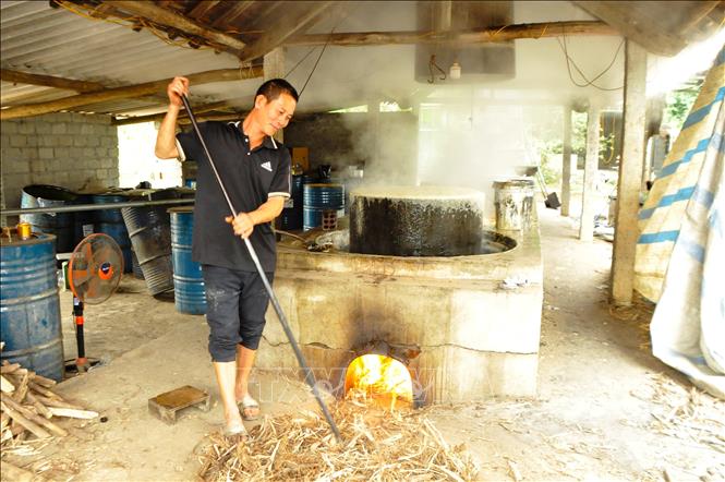 Để nấu nước mía thành mật, các chủ cơ sở phải sử dụng lò liên hoàn có từ 3 đến 5 miệng lò. Khi nấu, phải thường xuyên tiếp nguồn chất đốt vào bếp lò để giữ nguồn nhiệt cấp cho lò nấu luôn ổn định. Ảnh: Xuân Tiến - TTXVN 
