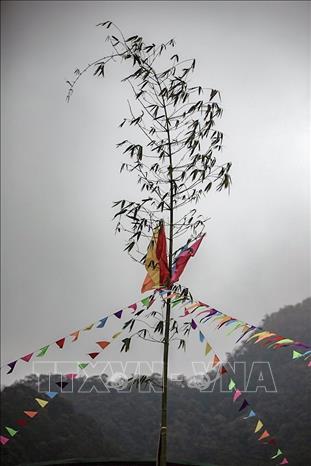 Cây nêu, biểu tượng linh thiêng nối trời với đất, ngọn cây luôn hướng về phía Đông là hướng sinh, hướng của Mặt Trời, thể hiện ước vọng cầu con, cầu mùa màng tươi tốt. Ảnh: Trọng Đạt-TTXVN