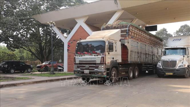 Những đoàn xe chở nông sản đầu tiên đã chính thức được thông quan sau 3 ngày chờ đợi. Ảnh: Thanh Tân - TTXVN