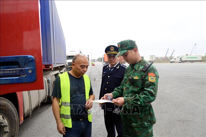 Lực lượng Hải quan Cửa khẩu quốc tế Móng Cái (Chi Cục Hải quan khu vực VIII) phối hợp với Biên phòng Cửa khẩu kiểm tra các xe hàng trước khi thông quan qua cửa khẩu Bắc Luân 2. Ảnh: Đức Hiếu - TTXVN