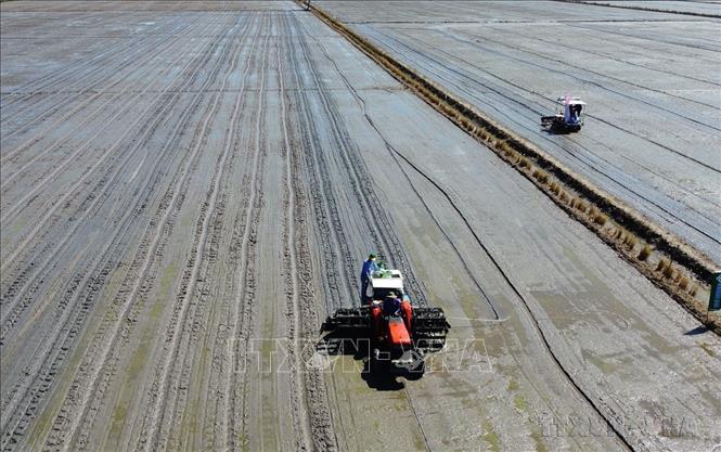 Cơ giới hóa trong khâu gieo sạ đối với diện tích tham gia mô hình canh tác lúa chất lượng cao, giảm phát thải tại huyện Tháp Mười (tỉnh Đồng Tháp). Ảnh: Nhựt An - TTXVN