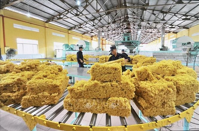 Đóng gói cao su chế biến tại Công ty Cổ phần cơ khí cao su BRC. Ảnh: Hồng Nhung - TTXVN