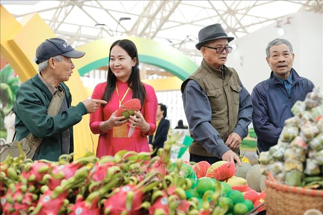 Khách tham quan các gian hàng tại Hội chợ Mùa Xuân 2026. Ảnh: Minh Quyết - TTXVN