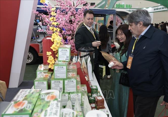 Khách tham quan gian hàng tại Hội chợ Mùa Xuân 2026. Ảnh: Trần Việt - TTXVN 