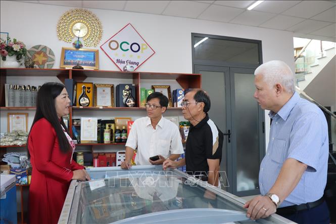 Chị Nguyễn Kim Thùy, Giám đốc Hợp tác xã Kỳ Như, chia sẻ về hoạt động sản xuất các sản phẩm từ cá thát lát. Ảnh: Thu Hiền - TTXVN