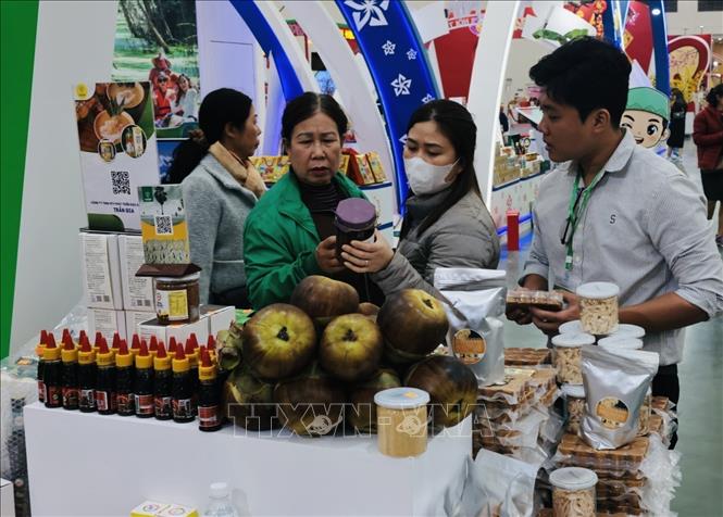 Khách tham quan mua sắm tại hội chợ. Ảnh: Trần Việt - TTXVN 