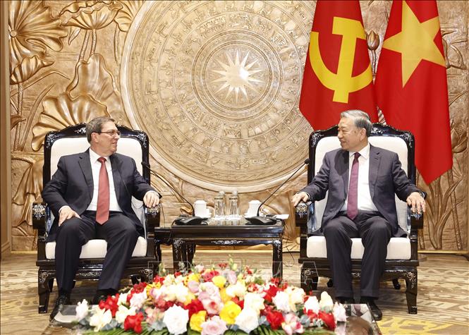 Tổng Bí thư Tô Lâm tiếp thân mật đồng chí Bruno Rodríguez Parrilla, Đặc phái viên Đảng Cộng sản Cuba, Nhà nước Cộng hòa Cuba, Ủy viên Bộ Chính trị, Bộ trưởng Ngoại giao Cuba. Ảnh: Thống Nhất – TTXVN