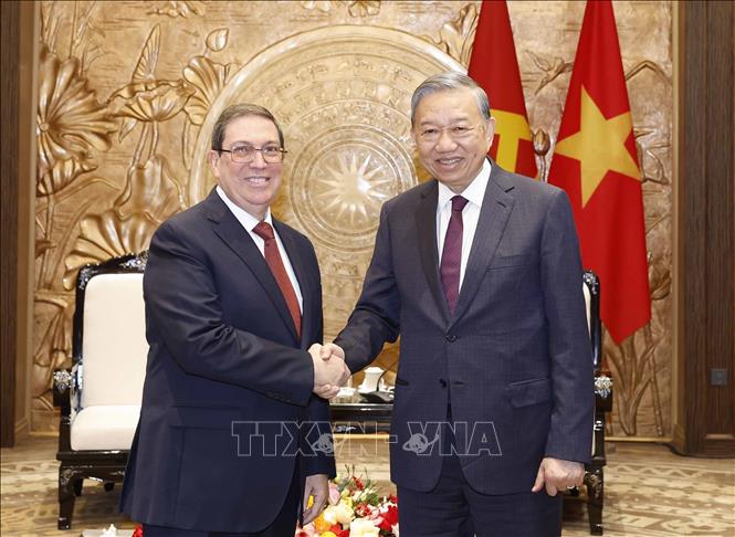Party General Secretary To Lam receives Bruno Rodríguez Parrilla, Politburo member and Minister of Foreign Affairs of Cuba, who is visiting Vietnam as special envoy of the Communist Party and State of Cuba. VNA Photo: Thống Nhất