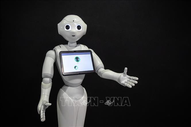 (Tư liệu) Robot Pepper của công ty SoftBank Robotics tại Paris, Pháp. Ảnh: THX/TTXVN