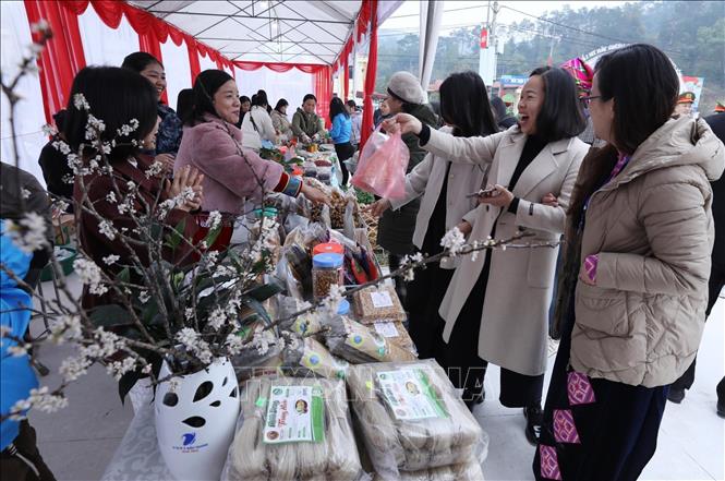 Du khách tham quan, mua sắm tại các gian hàng chợ quê, sản phẩm OCOP, nông sản địa phương được trưng bày tại Hội chợ hoa đào phường Lương Văn Tri. Ảnh: Anh Tuấn – TTXVN
