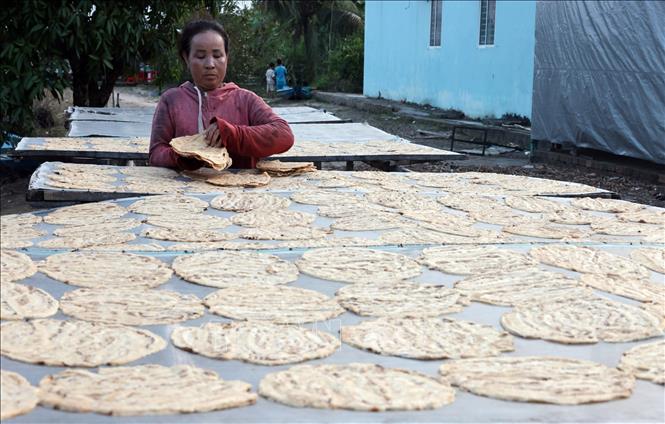 Có thêm vốn vay ưu đãi, gia đình chị Nguyễn Thị Thu Vân ở xã U Minh Thượng có điều kiện chăm sóc 4ha chuối, ngoài ra đầu tư làm bánh chuối cho thu nhập tốt. Ảnh: Trần Việt - TTXVN