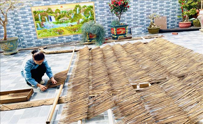 Toàn thôn Quyết Thắng, xã Bắc Trạch hiện có hơn 400 hộ tham gia sản xuất, tạo việc làm thời vụ cho hàng trăm lao động địa phương, trong đó phần lớn là phụ nữ và người cao tuổi. Ảnh: Võ Dung - TTXVN