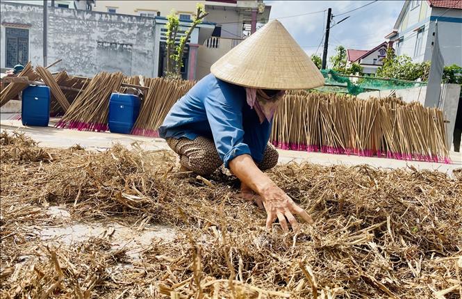 Nguyên liệu chính để làm hương là các loại lá, rễ cây hương liệu được lấy từ rừng, đem phơi khô trong những ngày nắng gắt. Ảnh: Võ Dung - TTXVN