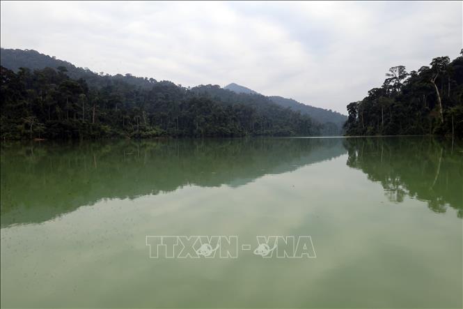 Bạt ngàn cánh rừng nguyên sinh ở Vườn Quốc gia Sông Thanh, thành phố Đà Nẵng. Ảnh: Đỗ Trưởng – TTXVN