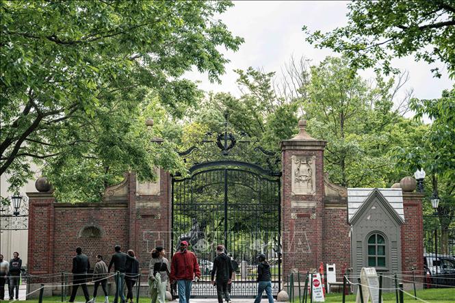 Khuôn viên Đại học Harvard ở Cambridge, bang Massachusetts, Mỹ. Ảnh: THX/TTXVN