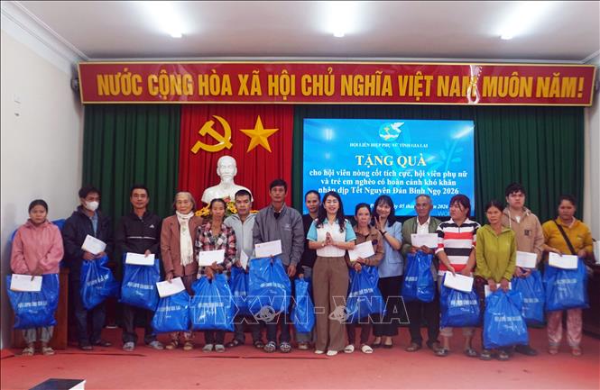Hội Liên hiệp Phụ nữ tỉnh Gia Lai tặng quà cho các hộ gia đình 2 xã Tuy Phước và Tuy Phước Đông. Ảnh: Trịnh Bang Nhiệm - TTXVN