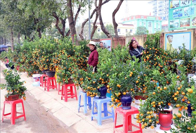 Các ngành hàng được sắp xếp theo từng tuyến đường, khu vực, bảo đảm khoa học, thuận tiện cho người dân mua sắm. Ảnh: Trần Trang-TTXVN 