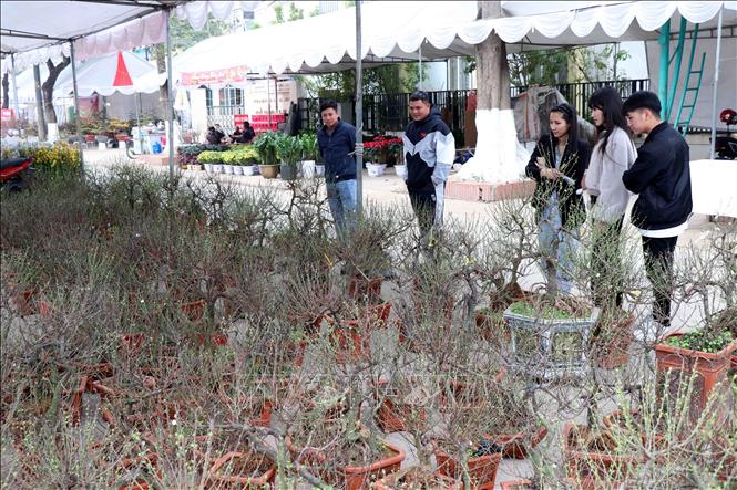 Người dân tham quan và mua sắm phục vụ Tết Nguyên đán Bính Ngọ 2026. Ảnh: Trần Trang-TTXVN 