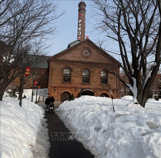 Tuyết rơi dày tại tỉnh Hokkaido (Nhật Bản). Ảnh: Phạm Tuân - PV TTXVN tại Nhật Bản