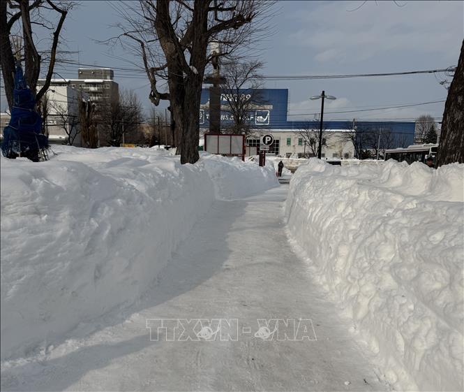 Tuyết rơi dày cản trở giao thông tại tỉnh Hokkaido (Nhật Bản). Ảnh: Phạm Tuân - PV TTXVN tại Nhật Bản