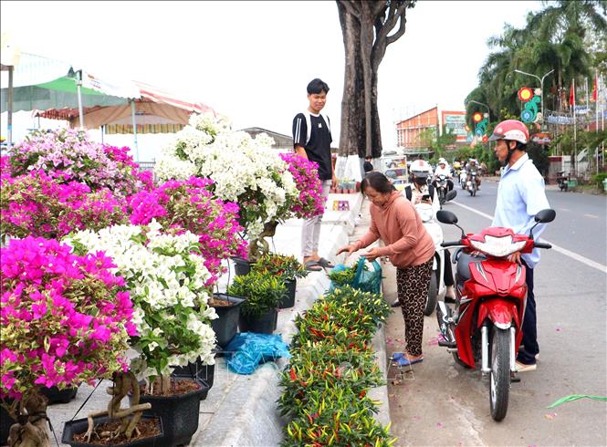 Người dân đến mua sắm tại Chợ hoa xuân phường Long Châu, tỉnh Vĩnh Long. Ảnh: Lê Thúy Hằng - TTXVN