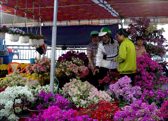 Người dân đến mua sắm tại Chợ hoa xuân phường Long Châu, tỉnh Vĩnh Long. Ảnh: Lê Thúy Hằng - TTXVN.