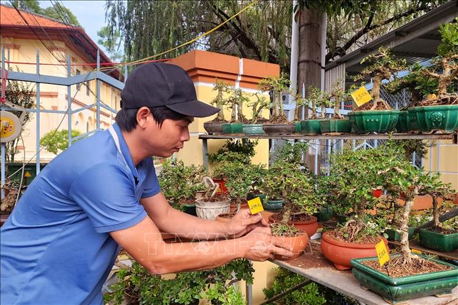 Anh Lê Đình Thanh Long (xã Chợ Lách, tỉnh Vĩnh Long) niêm yết giá để người dân dễ lựa chọn, mua sắm. Ảnh: Lê Thúy Hằng - TTXVN